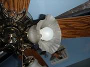 Hunter Vintage Traditional Victorian Ceiling Fan & Light Fixture